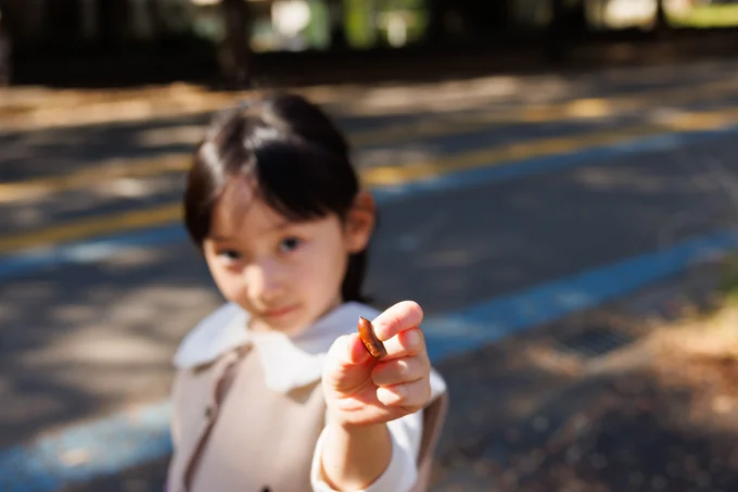どんぐりを何個見つけられるかな?