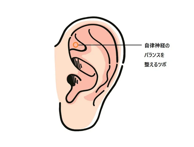 自律神経のバランスを整えるツボ