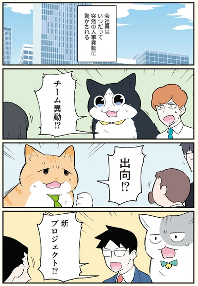 突然の人事異動