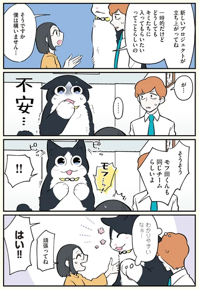 モフ田くんも同じチームらしいよ