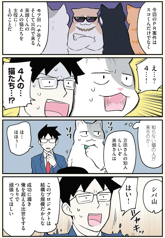 4人の…猫たち…！？