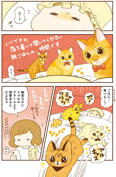 ごはん…食べる…？