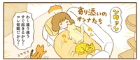 なんていじらしいんだろう！ おはようからおやすみまで寄り添う猫たち／しまねこ３姉妹と暮らしています（1）