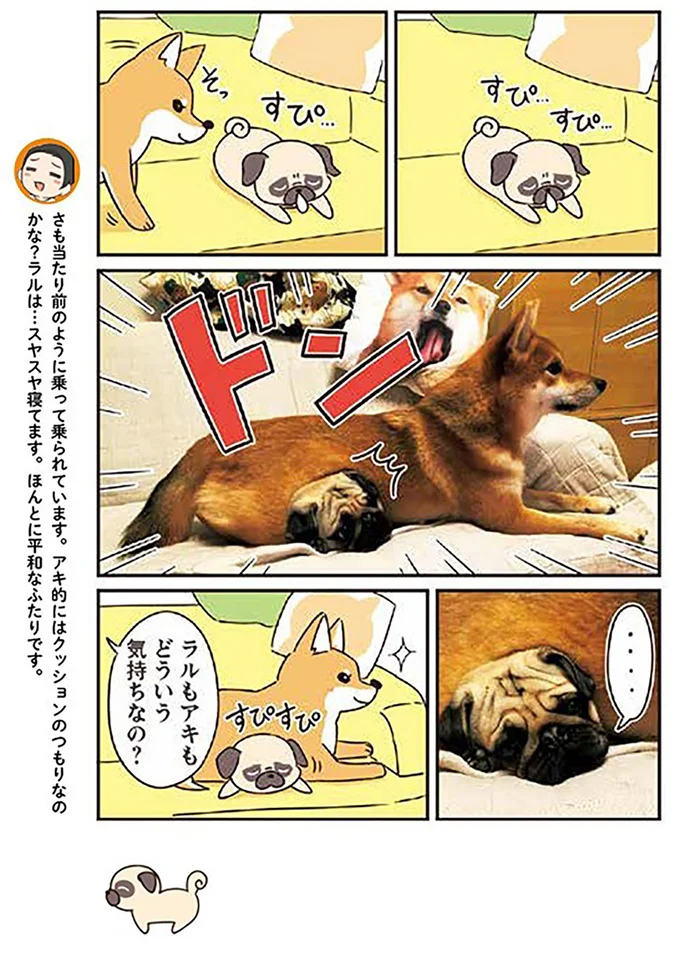 クッションのつもりなのかな？