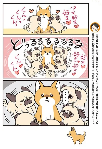 毎日やります