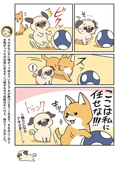 『ラルとアキ -ドMパグと女王柴犬の愉快な主従関係-』より