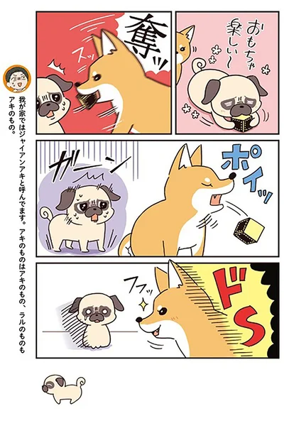 『ラルとアキ -ドMパグと女王柴犬の愉快な主従関係-』より