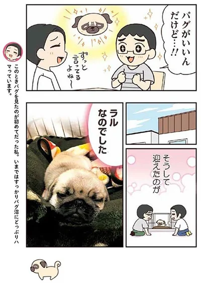 『ラルとアキ -ドMパグと女王柴犬の愉快な主従関係-』より