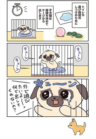 『ラルとアキ -ドMパグと女王柴犬の愉快な主従関係-』より