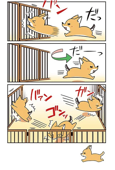 『ラルとアキ -ドMパグと女王柴犬の愉快な主従関係-』より