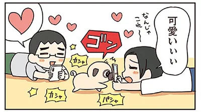 可愛いぃぃ
