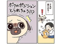 先輩犬の甘えん坊パグ。新入りの柴犬を迎えたらある変化が!?／ラルとアキ（5）