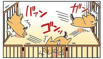 柵に激突して方向転換するというクセが
