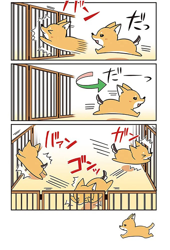 ガンッ