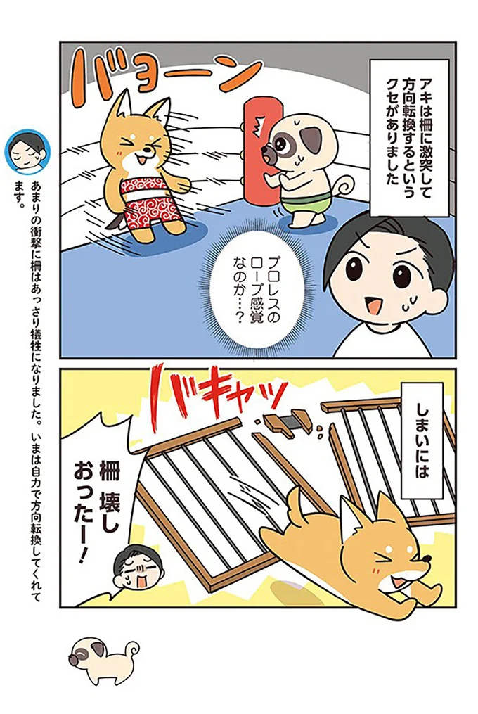 しまいには