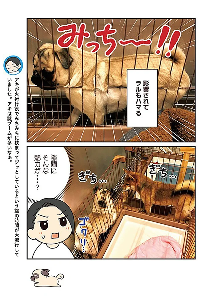 謎ブームが多いなぁ