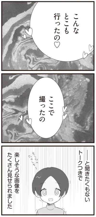 楽しそうな画像をたくさん見せられました