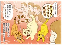 猫とお喋りしてる!? 都合の良い言葉だけ覚える猫たちが面白い／しまねこ３姉妹と暮らしています（3）