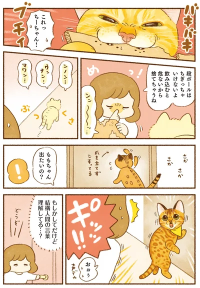 結構人間の言葉理解してる…？