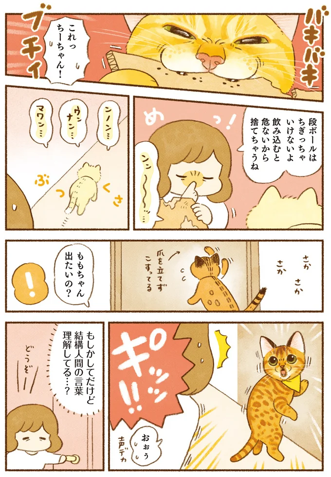 結構人間の言葉理解してる…？