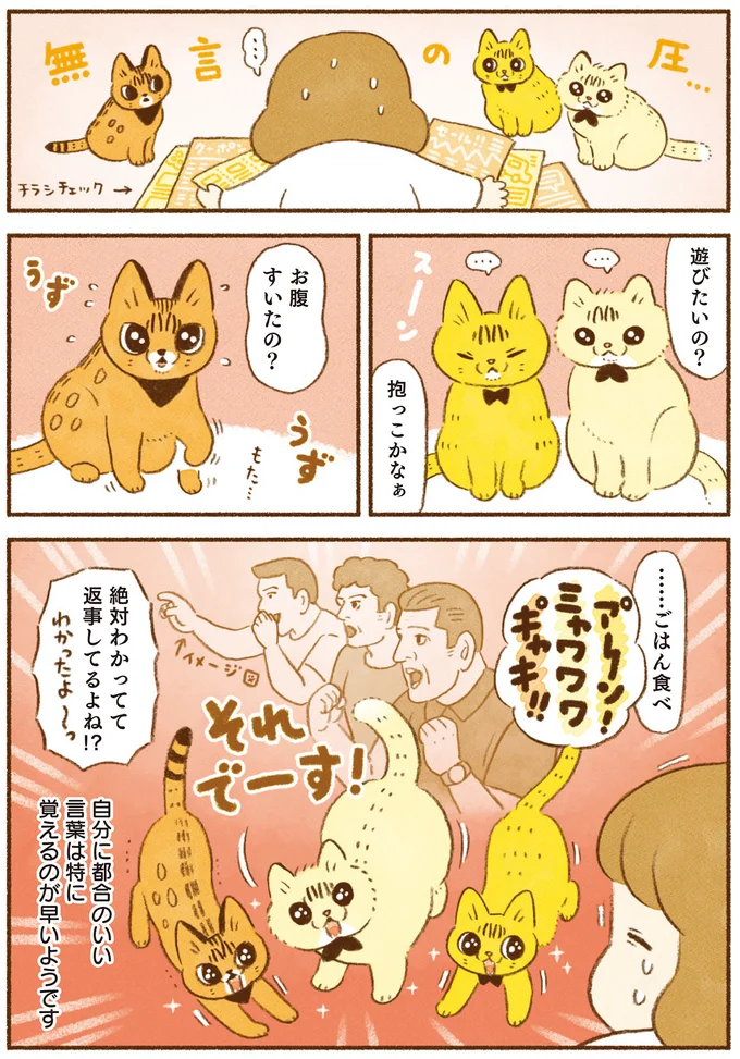 絶対わかってて返事してるよね！？