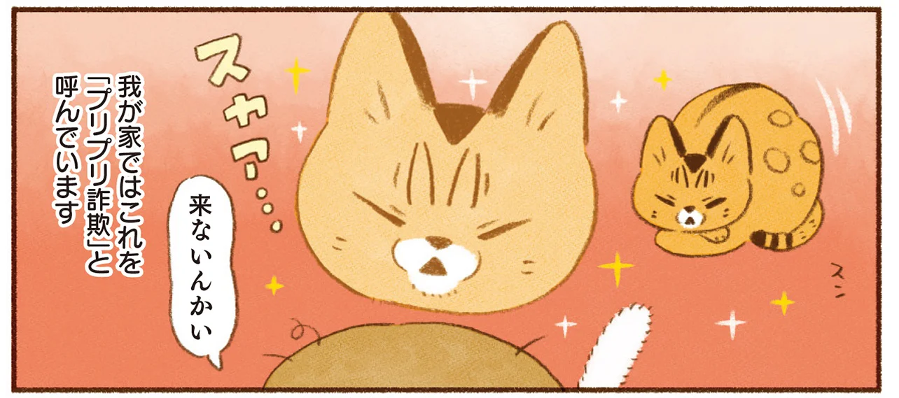 また騙された！ 個性豊かなフェイントをかけまくる我が家の猫たち