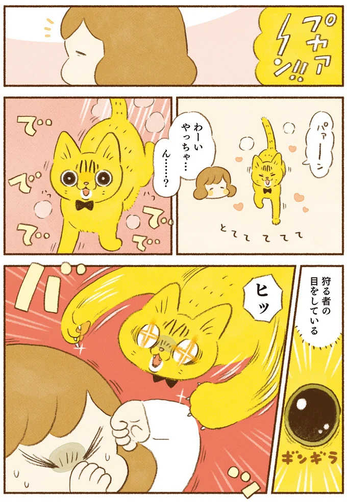 狩る者の目をしている