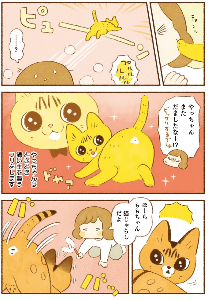 やっちゃんはときどき飼い主を襲うフリをします