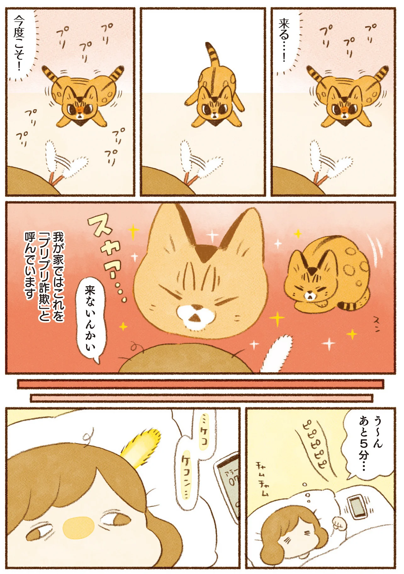 また騙された！ 個性豊かなフェイントをかけまくる我が家の猫たち