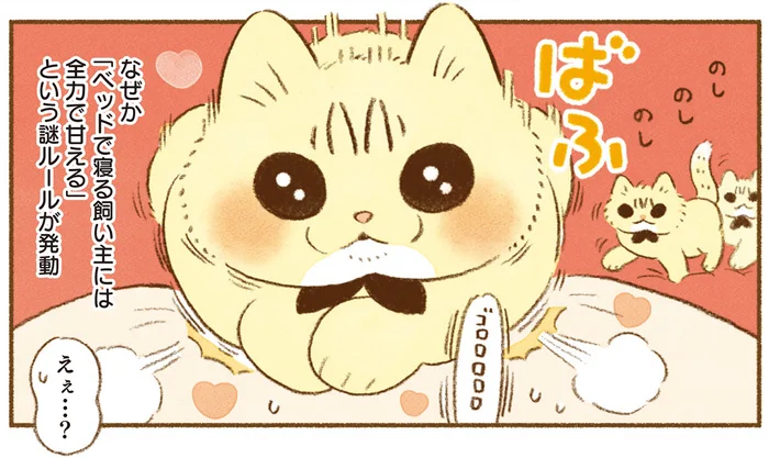普段はドライなのにとある時には豹変。そのギャップに飼い主はメロメロです！／しまねこ３姉妹と暮らしています（5）
