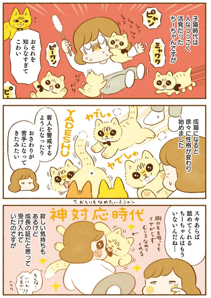 成猫になると徐々に性格が変わり始めました