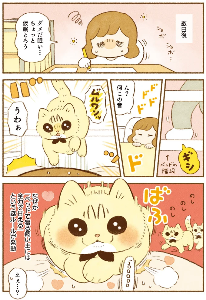 「ベッドで寝る飼い主には全力で甘える」という謎ルール