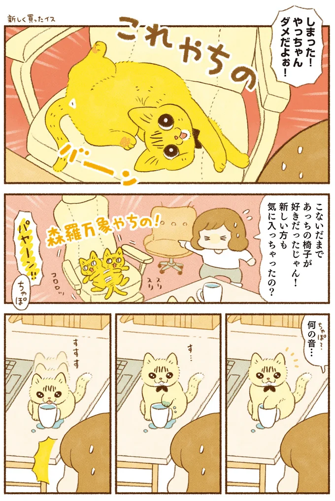 やっちゃんダメだよぉ！