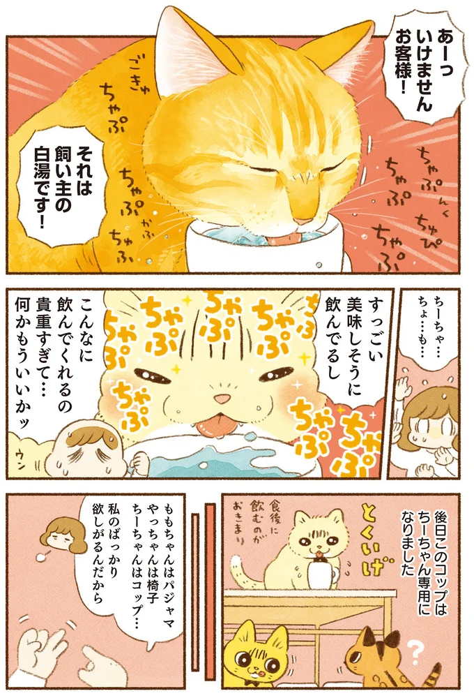それは飼い主の白湯です！