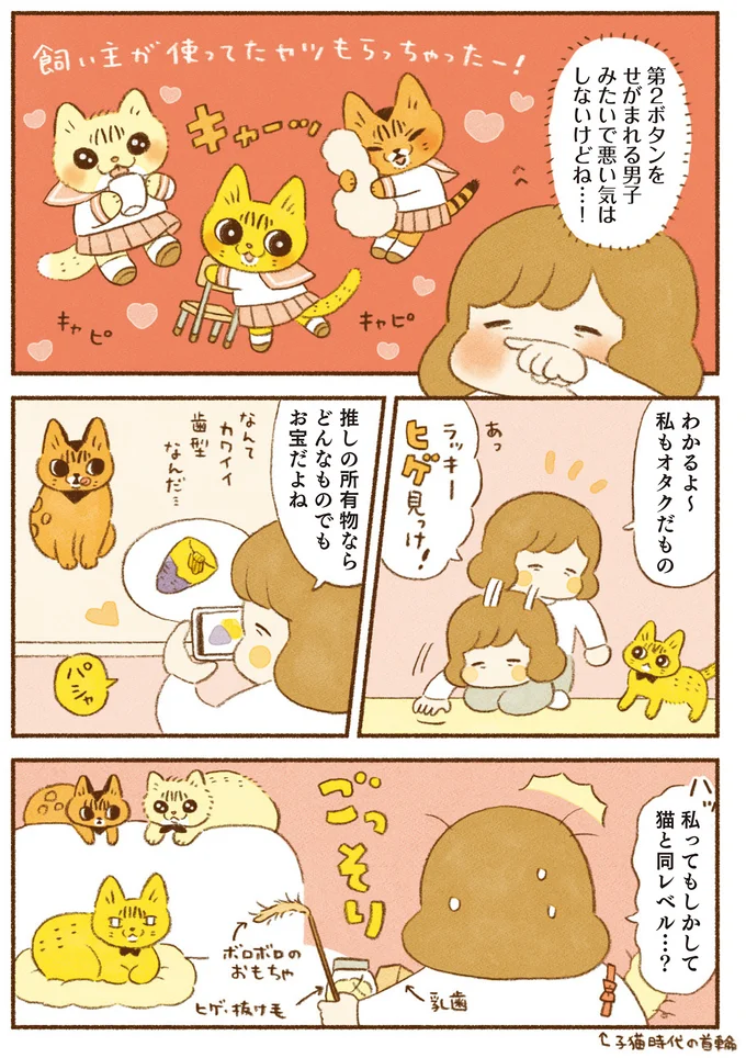 私ってもしかして猫と同レベル…？