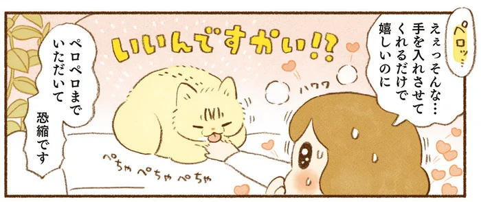 ここが幸せ空間ですか！ 猫のあったかいスキマに手を差し込んだら／しまねこ３姉妹と暮らしています（7）