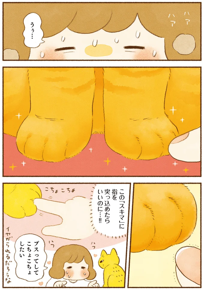 この「スキマ」に指を突っ込めたらいいのに…！