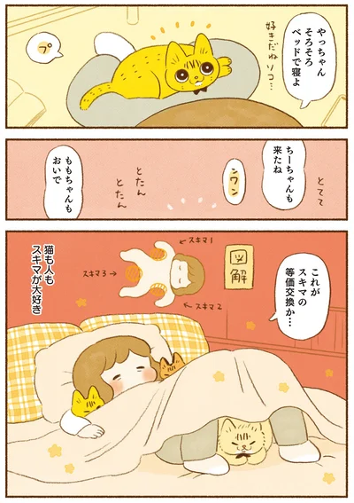 これがスキマの等価交換か