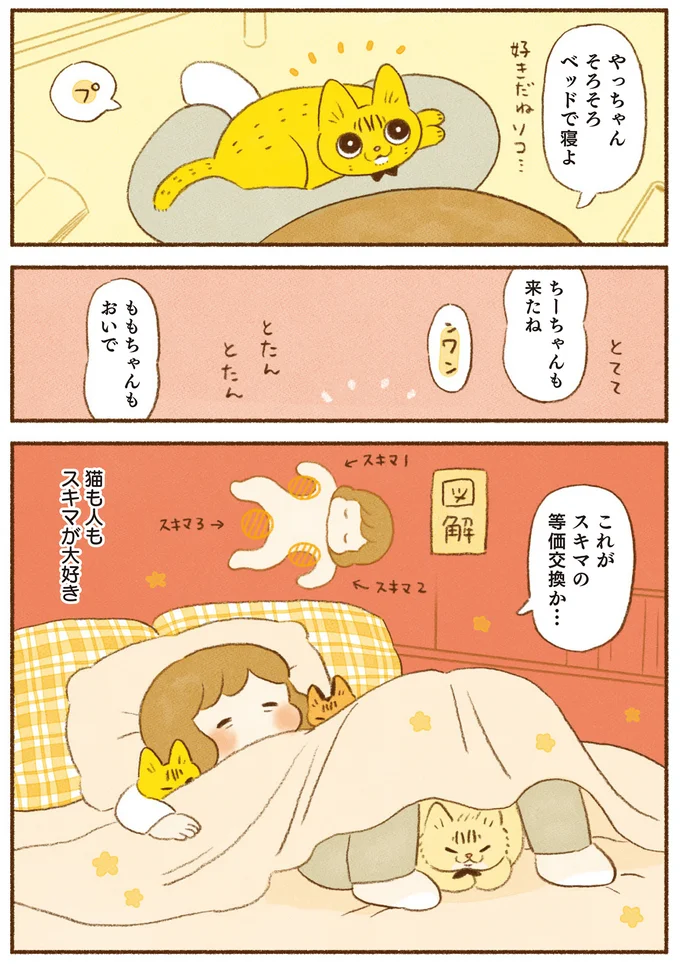 これがスキマの等価交換か