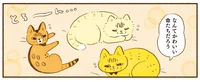 なんでもない日にも幸せを感じる。猫たちがいればそれだけでハッピー！