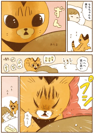 ももちゃんも来た