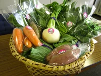 【冬に食べたいほうれんそうレシピ付き】雪国の寒さで野菜が甘くなる富山の「カンカン野菜」