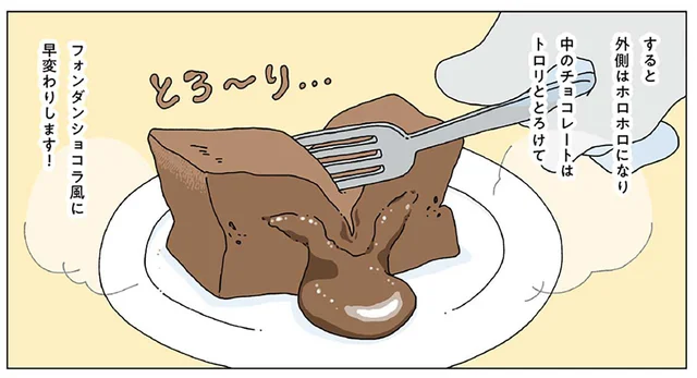 心の漆黒もいつか柔らかくなる？材料3つの濃厚テリーヌショコラ【レシピ付】／眠れぬ夜はケーキを焼いて3（10）
