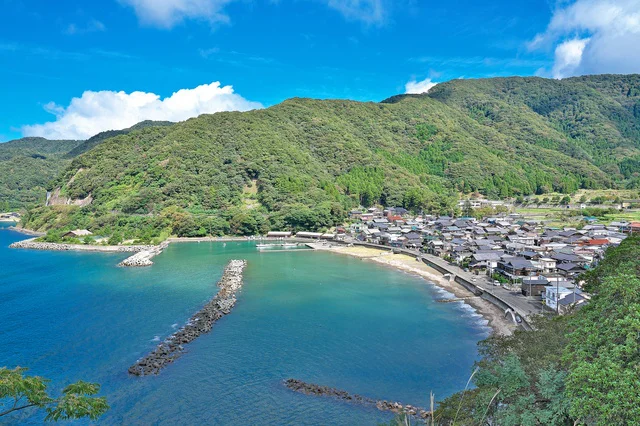 福井県沿岸のリアス式海岸と沖合から立ち上がる複雑な潮流がプランクトンが豊富な漁場を作り出している