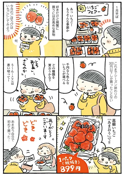 『わたしの1ヶ月1000円ごほうび』より