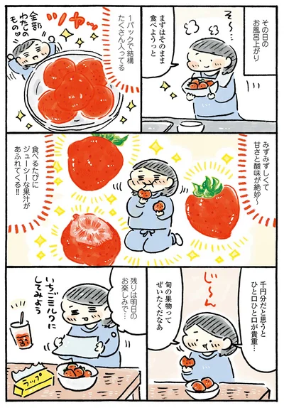 『わたしの1ヶ月1000円ごほうび』より