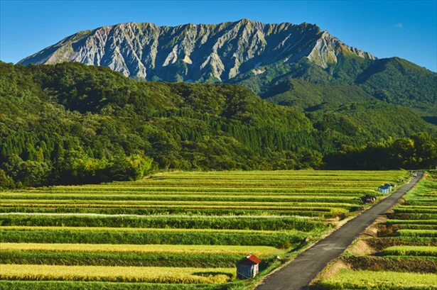 大山をはじめ、山や川といった大自然がお米を育んでいます