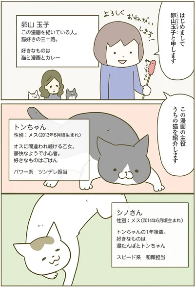 主役のねこをご紹介します