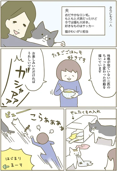 性格が似ていない2匹