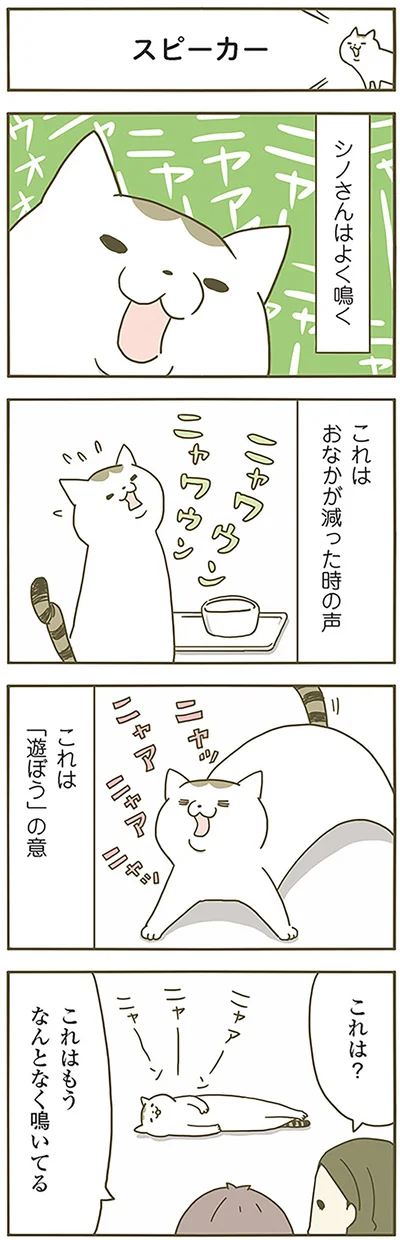 『うちの猫がまた変なことしてる。』より